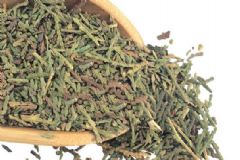 側(cè)柏葉的功效與作用有哪些？側(cè)柏葉有什么功效？[圖]