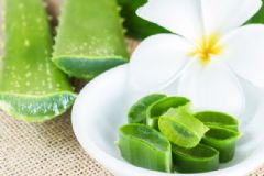 蘆薈有哪些特點(diǎn)？使用蘆薈的注意事項(xiàng)[圖]