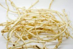 魚腥草到底是什么？魚腥草能不能吃？[多圖]