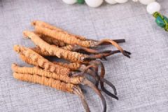 精品冬蟲(chóng)夏草炒至60萬(wàn)元每公斤，長(zhǎng)期食用或砷中毒[多圖]