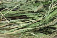 蒲公英根和葉功效一樣嗎？蒲公英茶怎么制作方法？[圖]