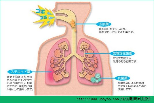 長跑有什么好處？長跑對身體的好處有哪些？(2)