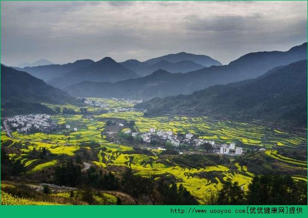春天適合去哪里旅游？春天去哪里旅游好？(3)