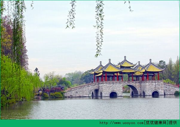 春天適合去哪里旅游？春天去哪里旅游好？(6)