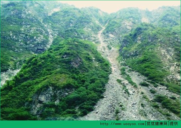 登山時下暴雨怎么辦？登山時如何預防危險？(3)