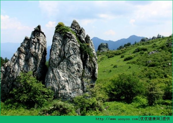 夏天旅游去哪好？夏天適合去哪里旅行？(1)