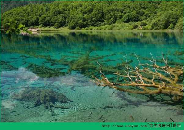 畢業(yè)旅行去哪里好？國內(nèi)畢業(yè)旅行推薦(6)