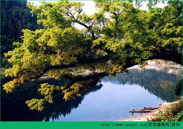 畢業(yè)旅行去哪好？畢業(yè)旅行最值得去的地方(1)