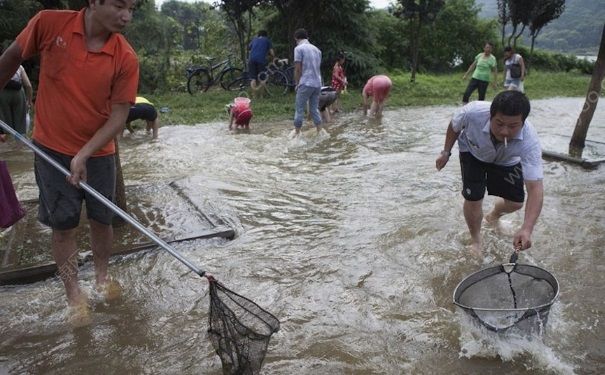 發(fā)洪水怎么抓魚？發(fā)洪水時(shí)的抓魚方法(1)