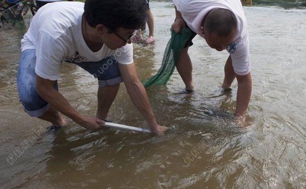 發(fā)洪水怎么抓魚？發(fā)洪水時(shí)的抓魚方法(2)