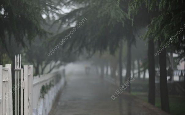 穿濕的鞋會怎樣？鞋子濕的穿了會怎么樣？(2)