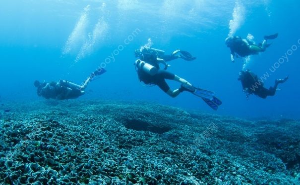 潛水能潛多深？人類最深潛水記錄(2)