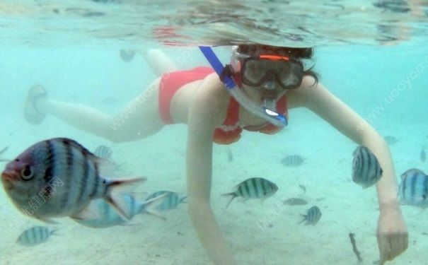 浮潛需要什么裝備？浮潛需要穿潛水服嗎？(3)