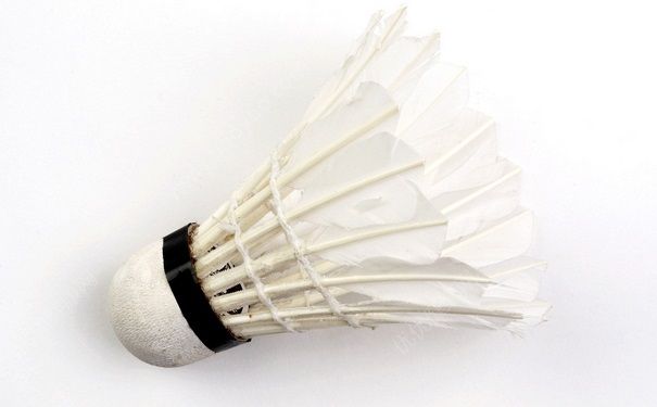 打羽毛球有什么壞處？打羽毛球對人體有危害嗎？(4)
