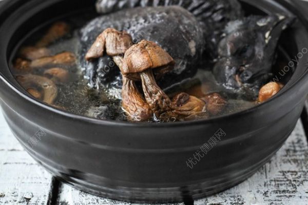 烏雞湯怎么做最補身體？這樣做居然比人參還要補？(3)