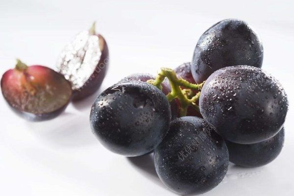 吃葡萄該吐葡萄皮嗎？葡萄怎樣清洗最干凈？(1)