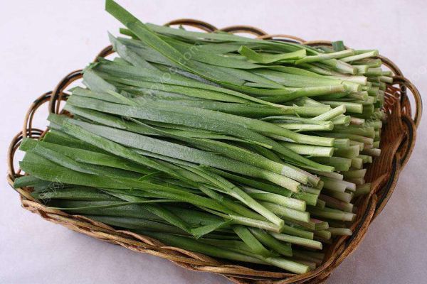 孕婦可不可以吃韭菜？孕期吃韭菜好不好？(1)