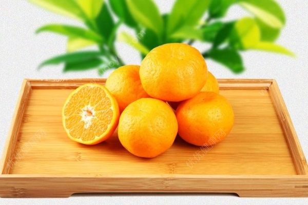 藥橙有哪些功效作用？藥橙效果最好的吃法是什么？(2)