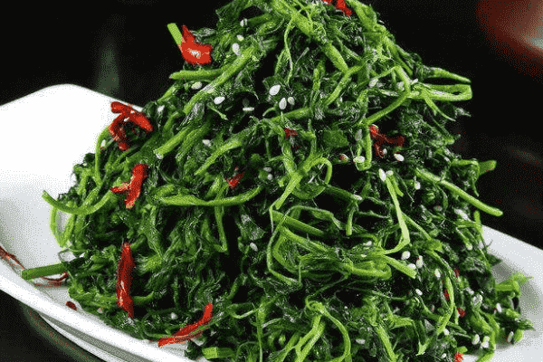 春天吃什么野菜對(duì)身體好？盤(pán)點(diǎn)幾種春天必吃的野菜(1)