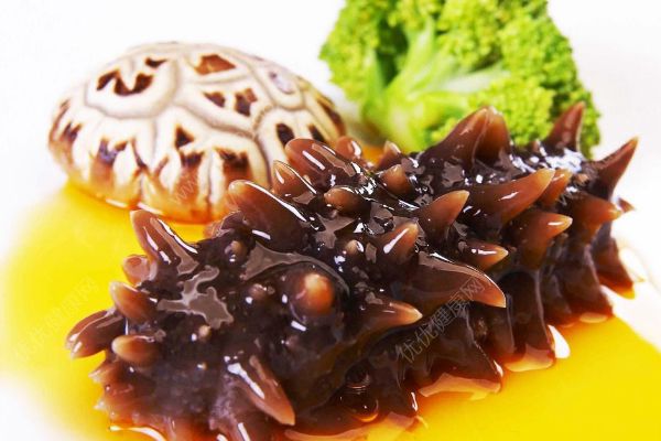 體質(zhì)虛怎么吃海參滋補？海參有哪些吃法？(1)