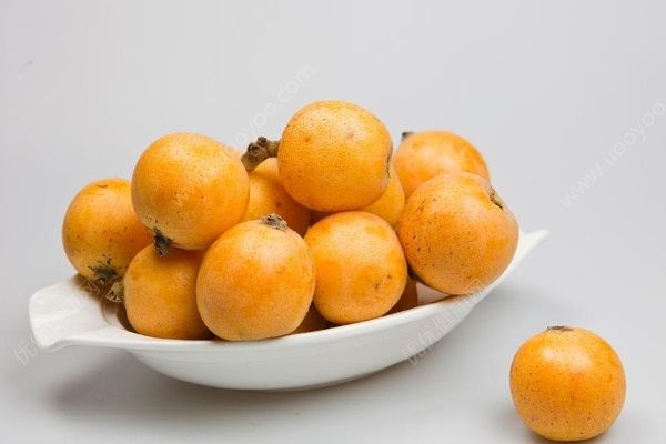 枇杷果有哪些藥用價(jià)值？枇杷果功效作用有哪些？(1)