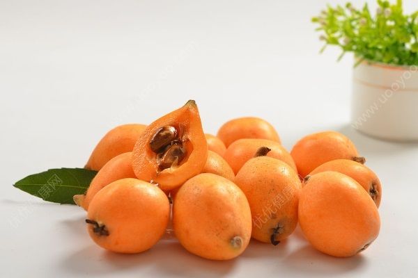 枇杷果有哪些藥用價(jià)值？枇杷果功效作用有哪些？(2)