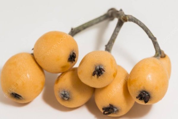 枇杷的核可以吃嗎？吃枇杷果核有哪些好處？(3)