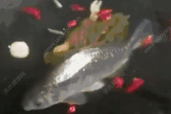 千萬不要讓女朋友學(xué)做飯！廚房慘案照流出，笑到崩潰！(2)