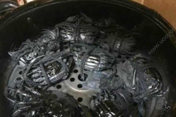 千萬不要讓女朋友學(xué)做飯！廚房慘案照流出，笑到崩潰！(3)