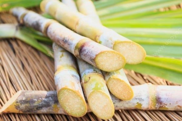 女子吃甘蔗中毒，導(dǎo)致抽搐30年，這種甘蔗不要吃！(2)