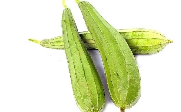 絲瓜水能當(dāng)爽膚水用嗎？絲瓜水能祛斑嗎？(3)