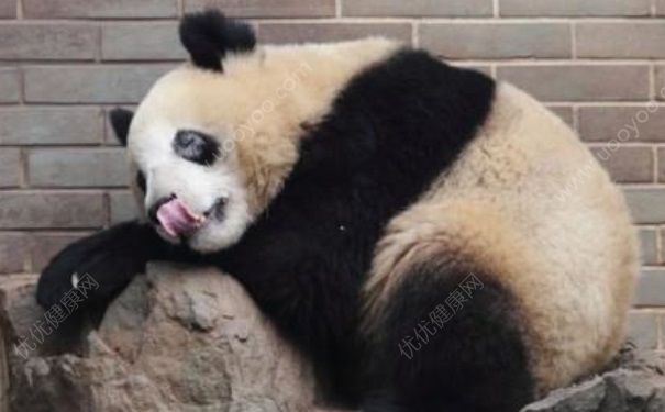 黑眼圈能做手術嗎？光子嫩膚能去黑眼圈嗎？(1)