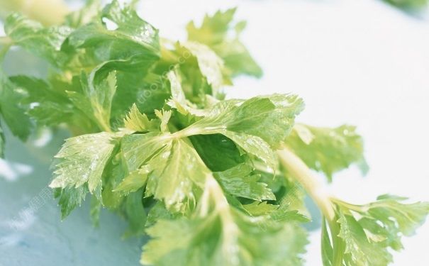 芹菜汁可以做面膜嗎？芹菜汁能做面膜嗎？(4)