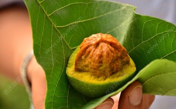 核桃青皮如何染發(fā)？怎么用青皮核桃染發(fā)？(1)