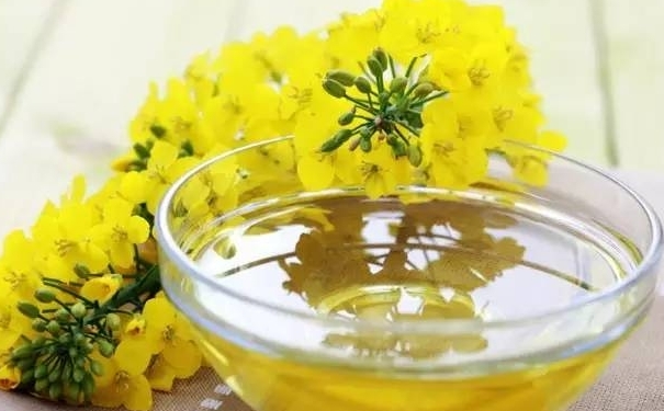 茶油和橄欖油哪個(gè)好？茶油好還是橄欖油好？(1)