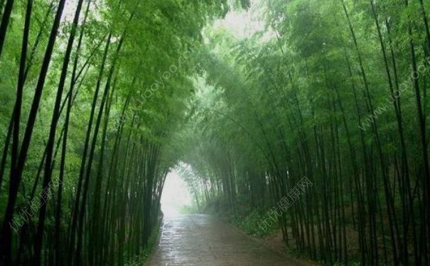 倒春寒來(lái)了，倒春寒要注意什么？(2)
