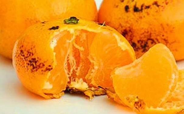 小兒風(fēng)寒咳嗽吃什么食物好？小兒風(fēng)寒咳嗽怎么緩解？(1)