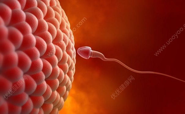 精子成活率多少算正常？男性精子成活率正常值是多少？(1)