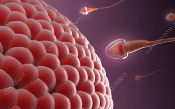 精子成活率與什么有關(guān)？精子成活率受什么影響？(1)