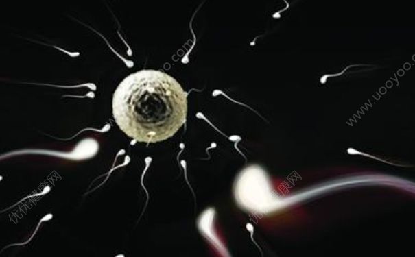 精子成活率檢查多久出結果？精子成活率幾天出結果？(1)