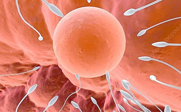 吃什么精子成活率高？怎么樣使精子成活率高？(1)