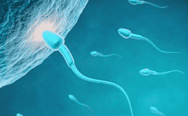 精液里無精子是怎么回事？為什么精液里面沒有精子呢？(1)