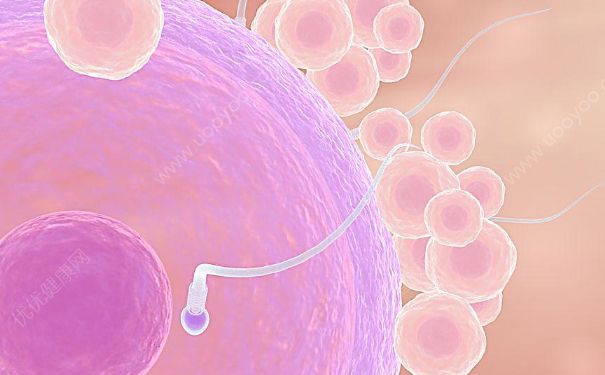 精子成活率百分之五十能不能受孕？精子成活率50%合格嗎？(1)