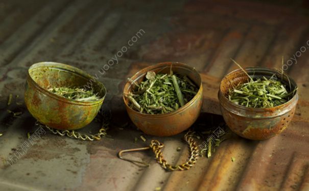 魚腥草可以生吃嗎？魚腥草怎么吃療效好？(1)
