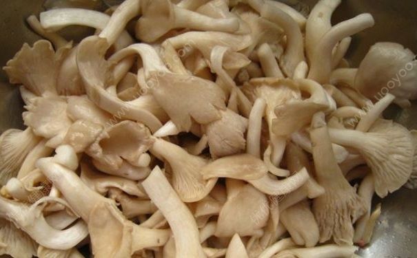 一滴血可測(cè)癌癥，癌癥的初期有什么癥狀表現(xiàn)？(4)