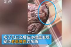 冰棍吃出老鼠尾巴，廠家被索賠十萬，自制冰棍方法[多圖]