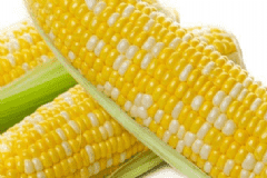 玉米的功效和作用是什么？玉米的熱量高不高？[圖]