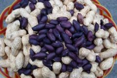 怎樣辨別黑皮花生的偽劣？如何挑選品質(zhì)好的黑皮花生？[圖]