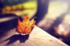 秋季進(jìn)補(bǔ)的禁忌有哪些？秋季如何正確進(jìn)補(bǔ)？[圖]