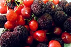 夏季吃什么水果養(yǎng)生？夏季養(yǎng)生的水果有哪些？[圖]